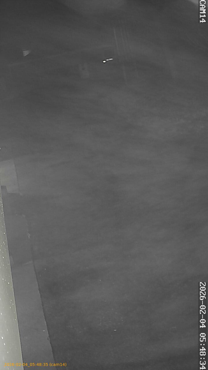 thumbnail_20260204054835