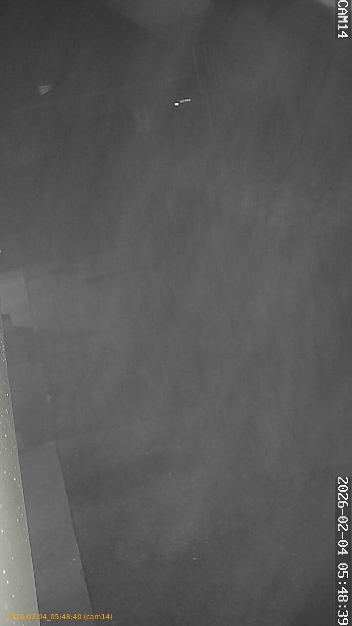 thumbnail_20260204054840