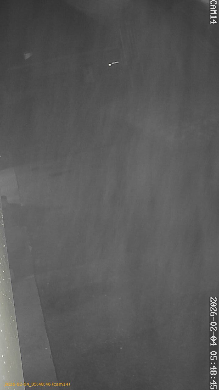 thumbnail_20260204054846