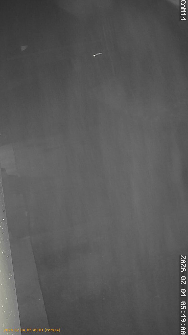 thumbnail_20260204054901