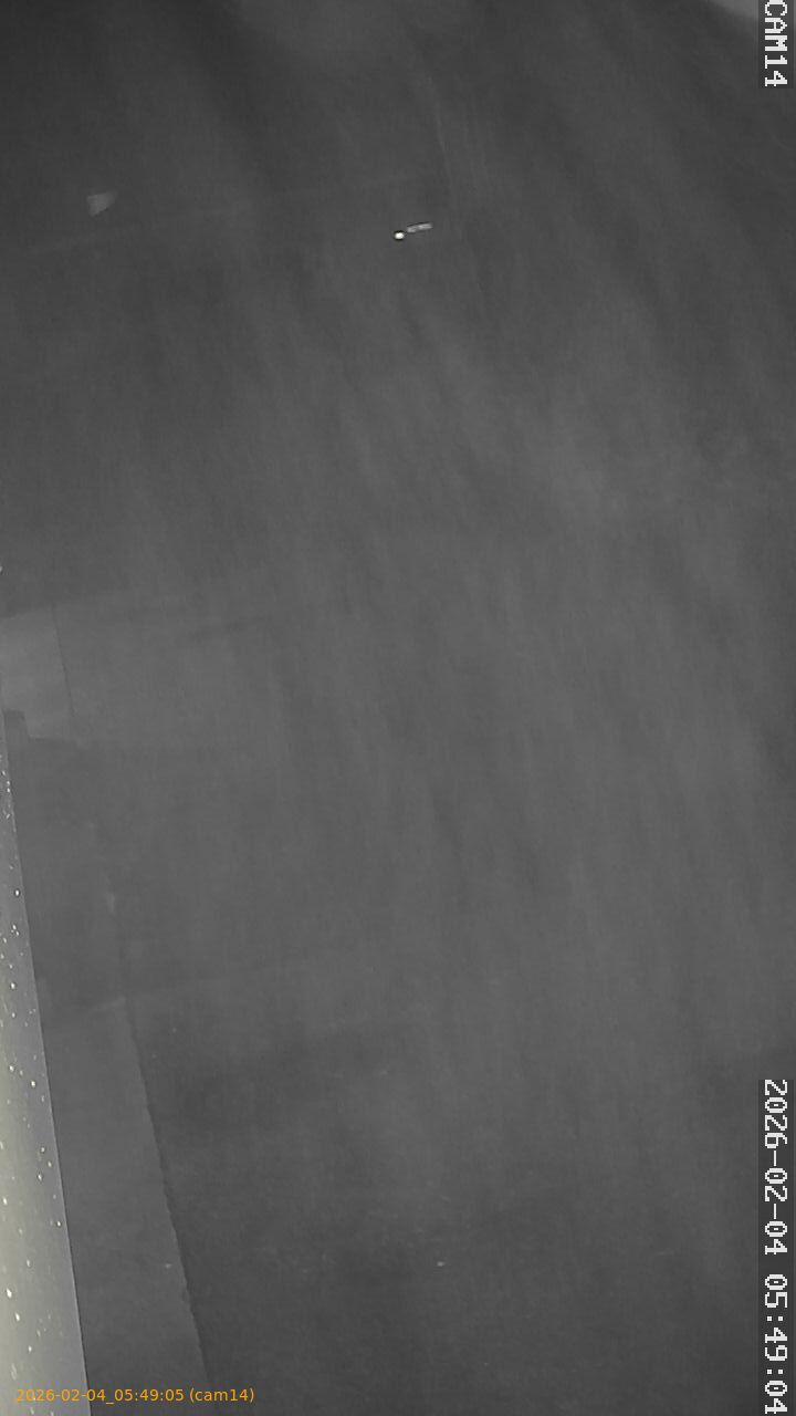 thumbnail_20260204054905