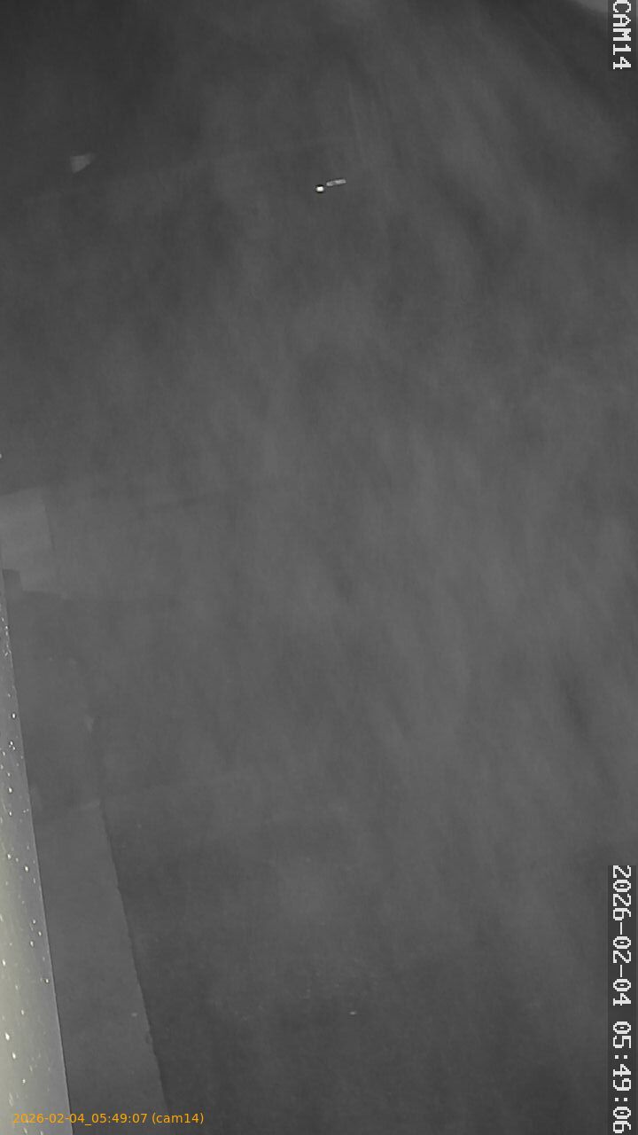 thumbnail_20260204054907