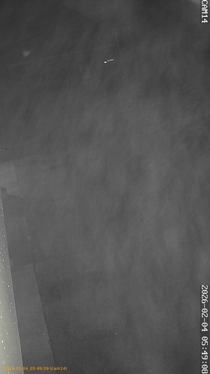 thumbnail_20260204054909