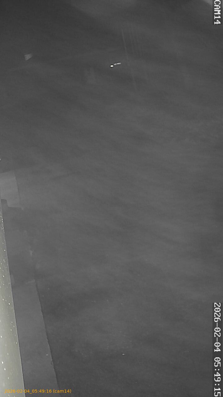 thumbnail_20260204054916