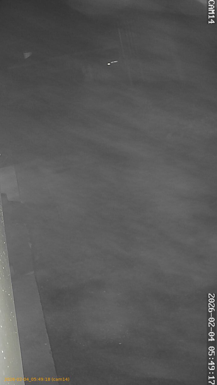 thumbnail_20260204054918