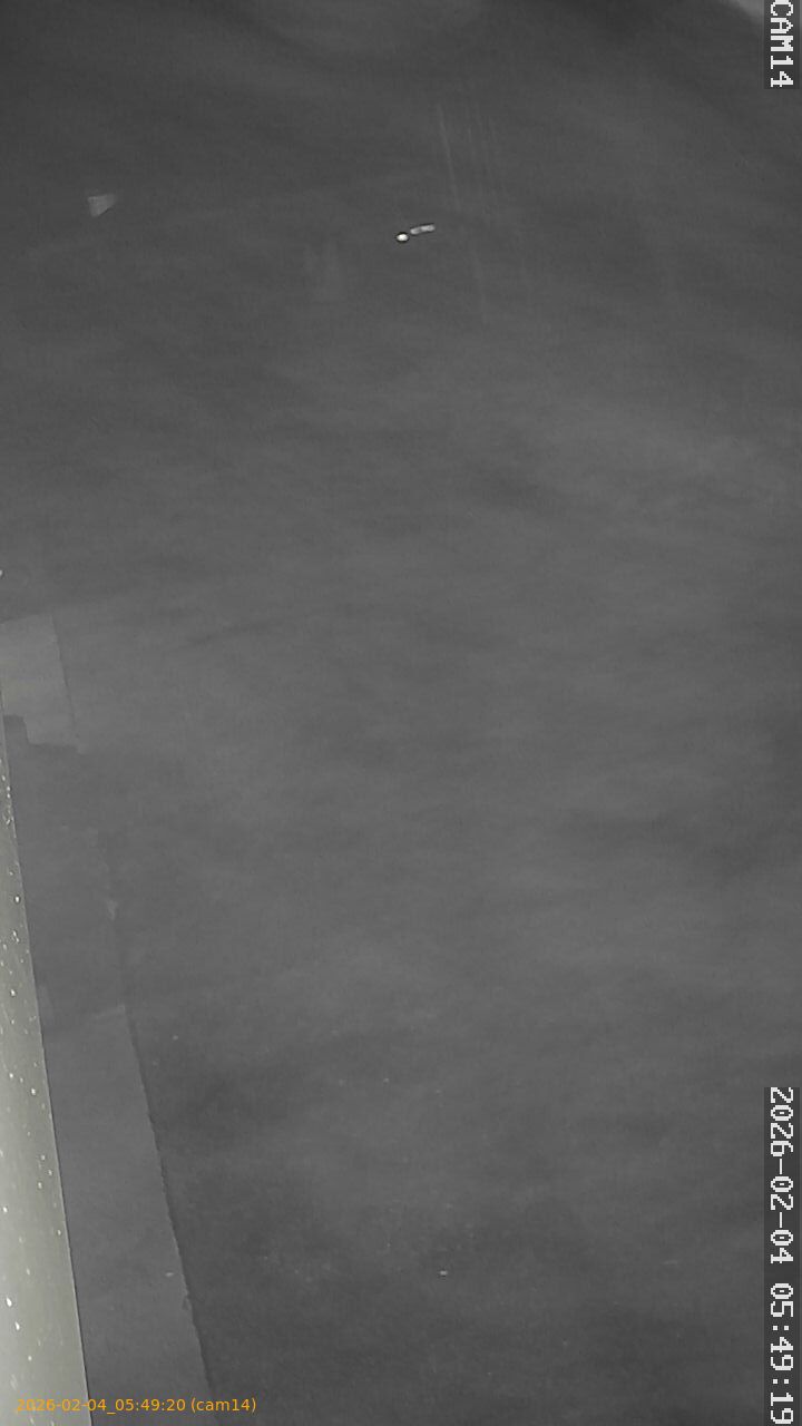 thumbnail_20260204054920