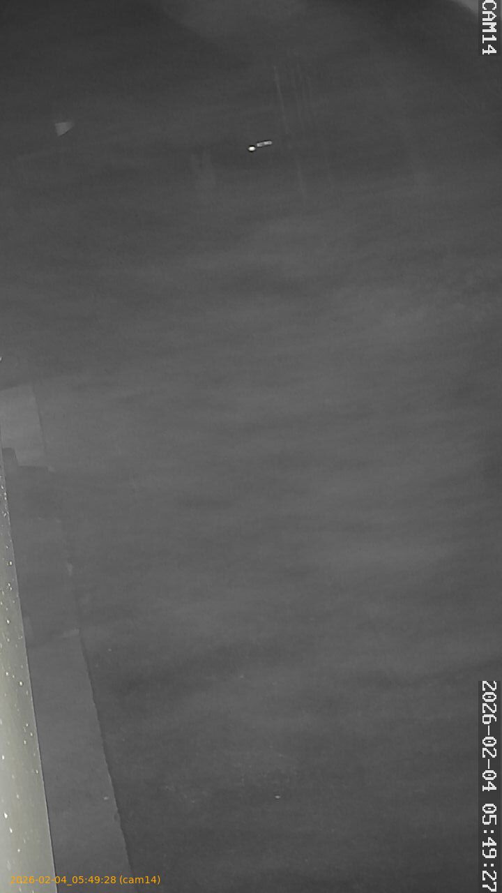 thumbnail_20260204054928