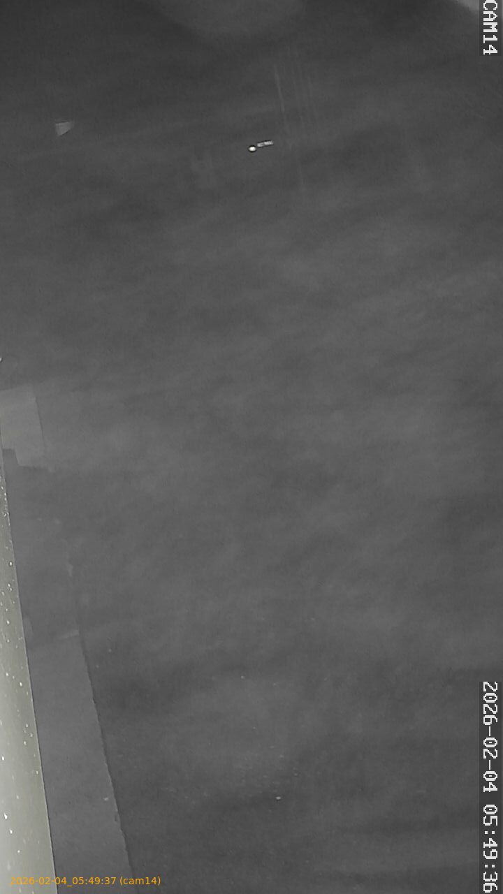 thumbnail_20260204054937