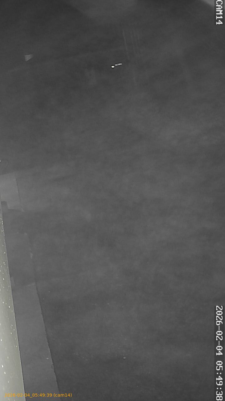 thumbnail_20260204054939