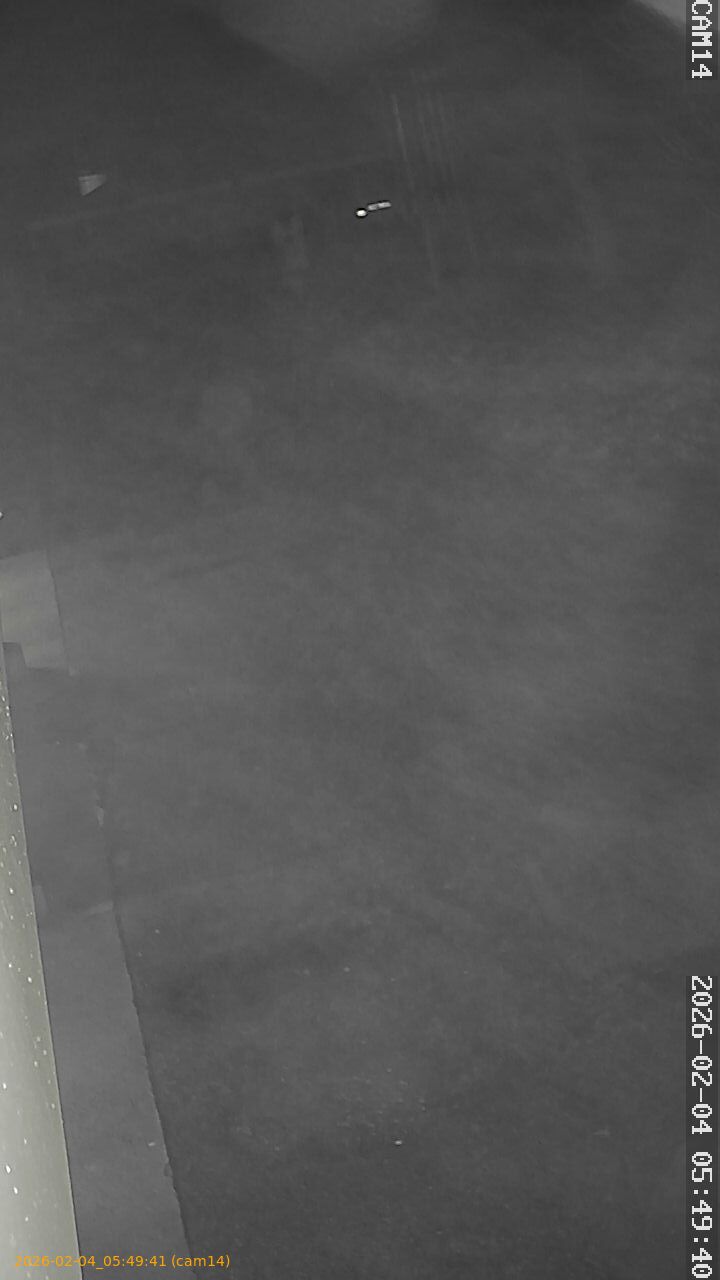 thumbnail_20260204054941