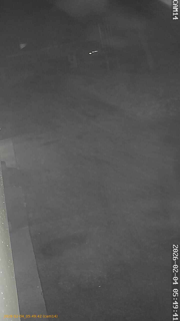 thumbnail_20260204054942