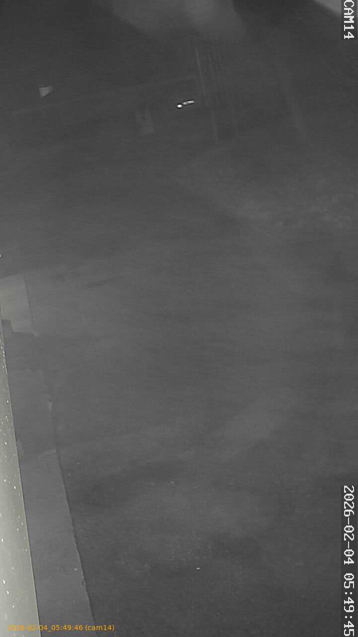 thumbnail_20260204054946