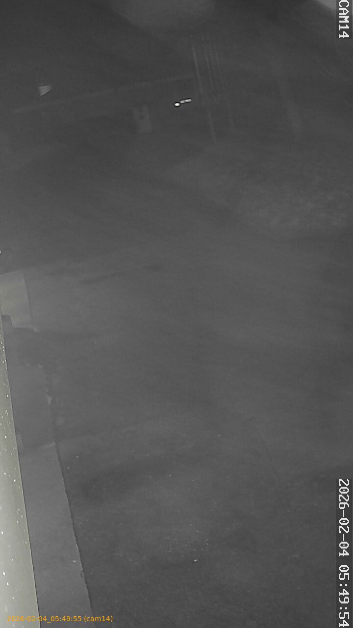 thumbnail_20260204054955