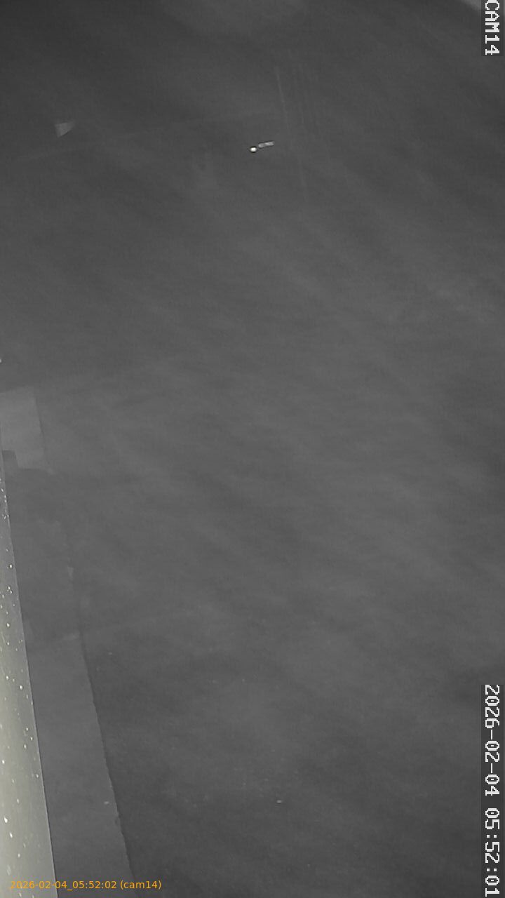 thumbnail_20260204055202