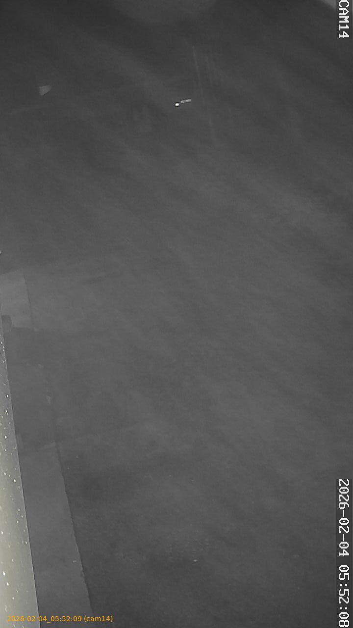 thumbnail_20260204055209