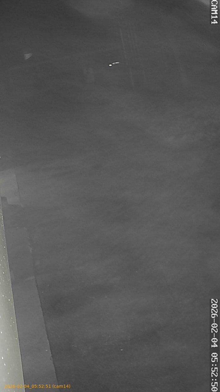 thumbnail_20260204055251