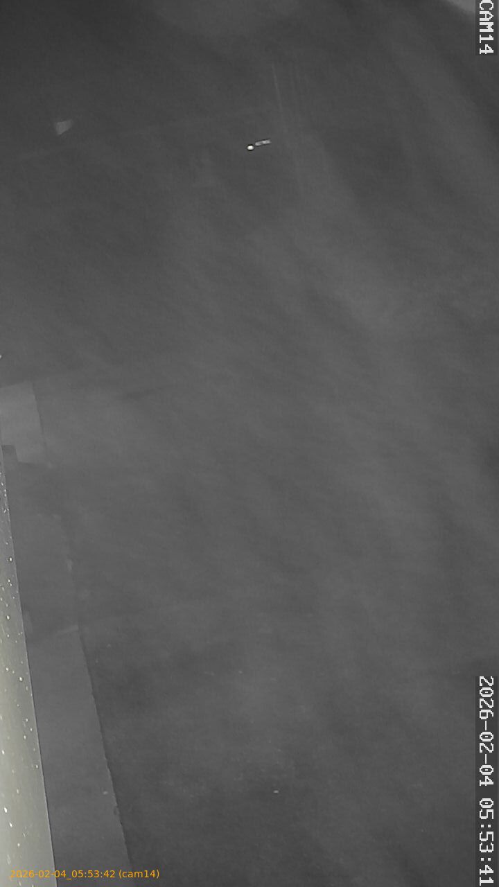 thumbnail_20260204055341