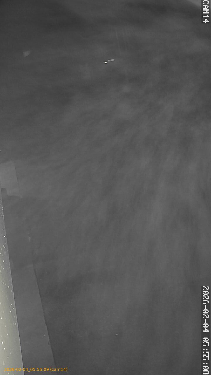 thumbnail_20260204055509