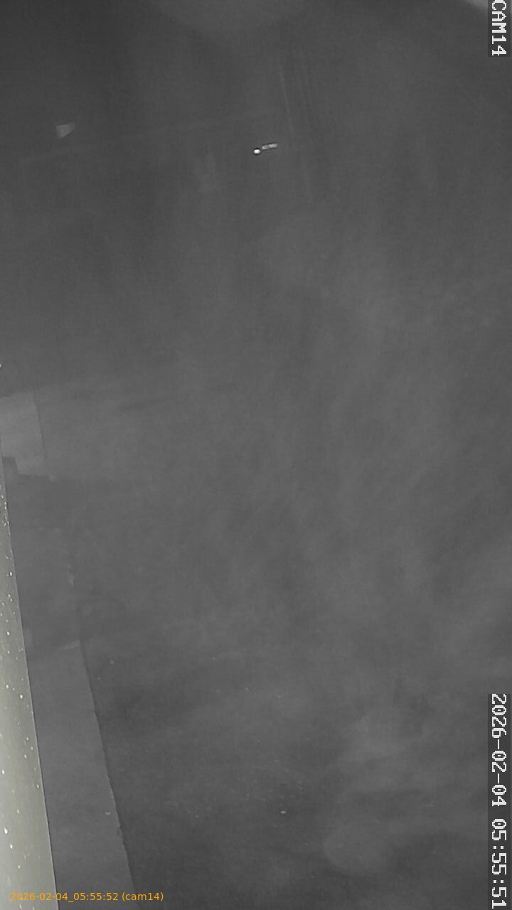 thumbnail_20260204055552