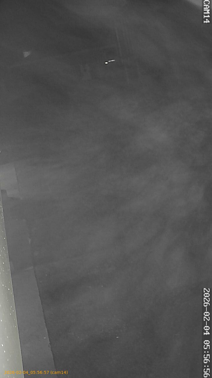 thumbnail_20260204055657