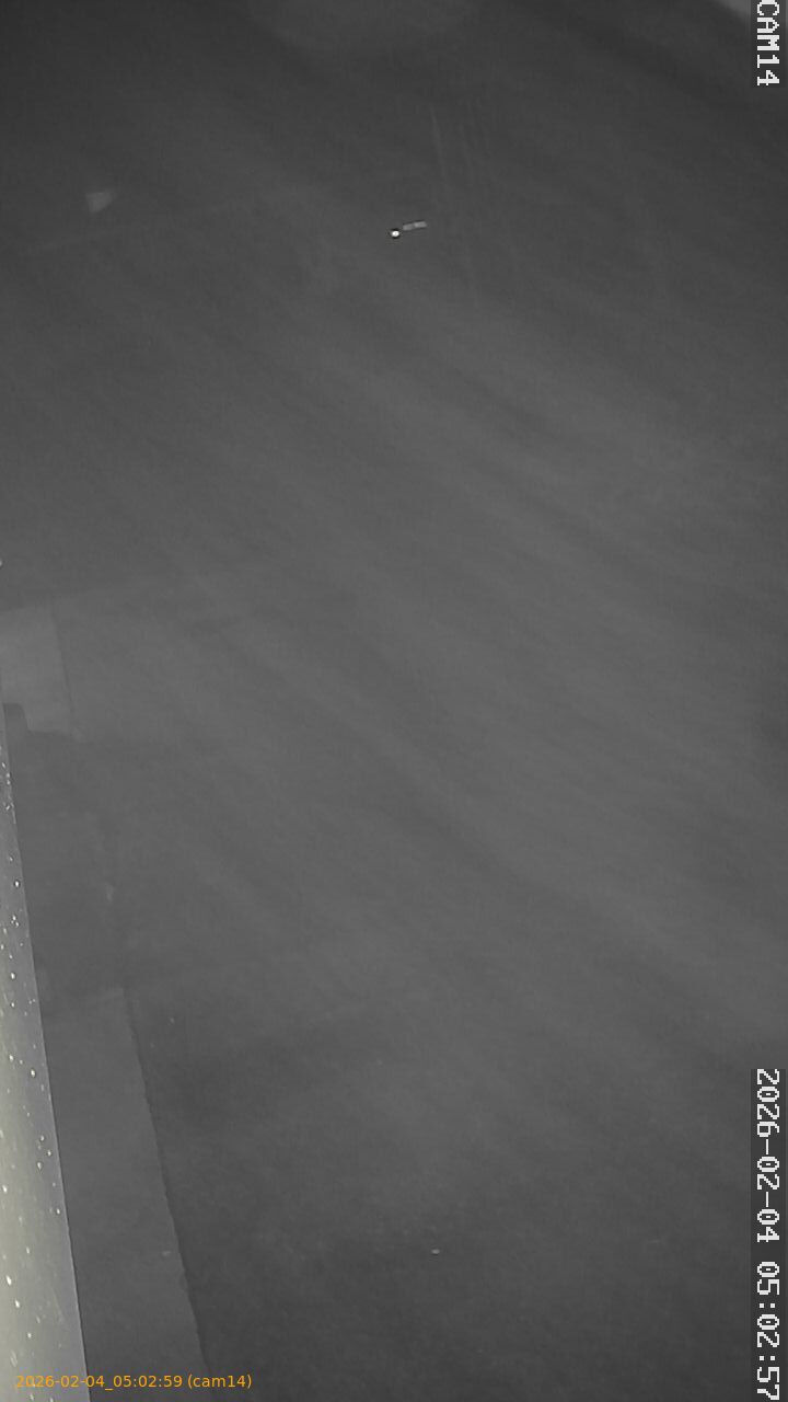 thumbnail_202602040502