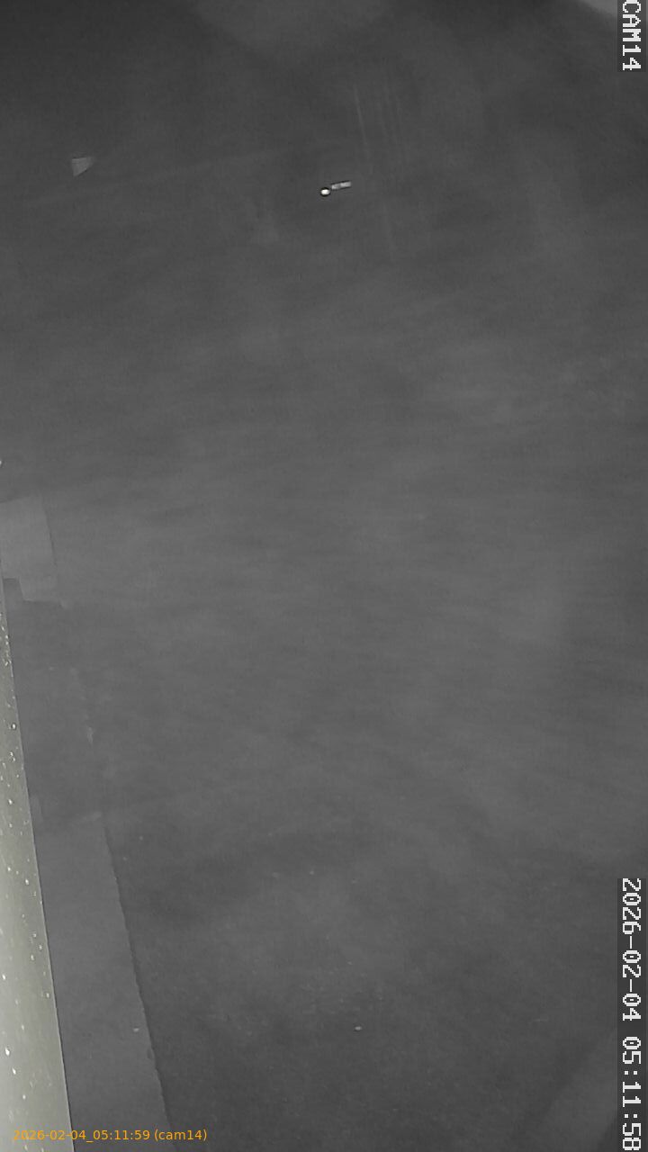 thumbnail_202602040511