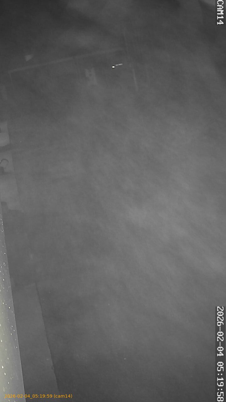 thumbnail_202602040519