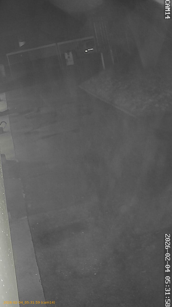 thumbnail_202602040531