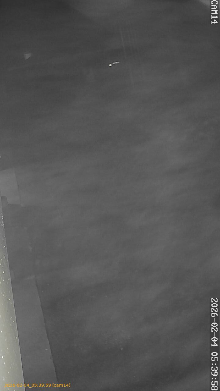 thumbnail_202602040539