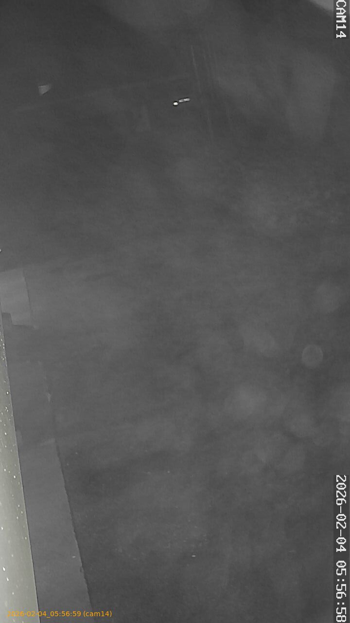 thumbnail_202602040556