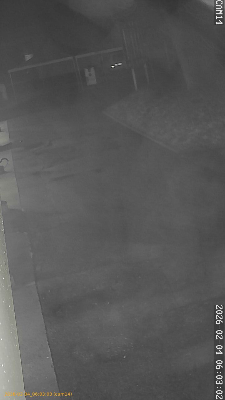 thumbnail_20260204060303