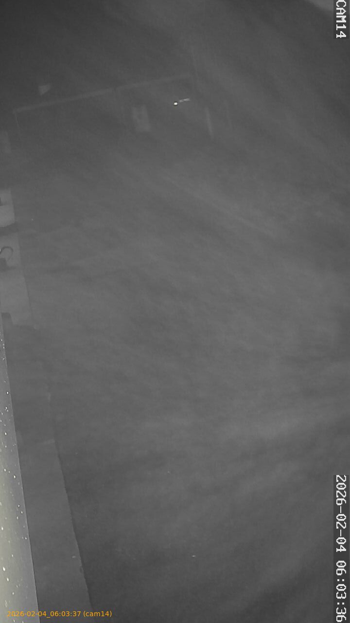 thumbnail_20260204060337