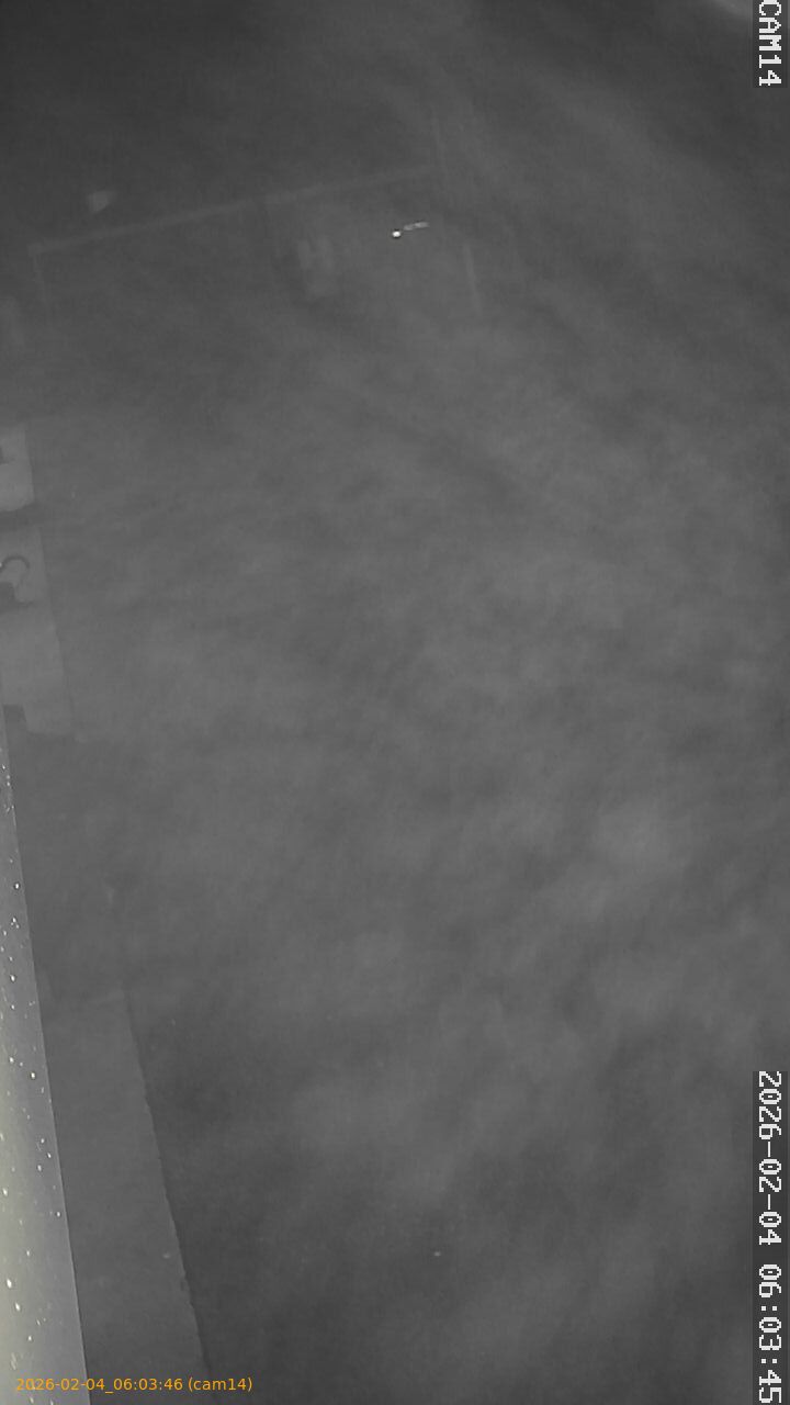 thumbnail_20260204060346