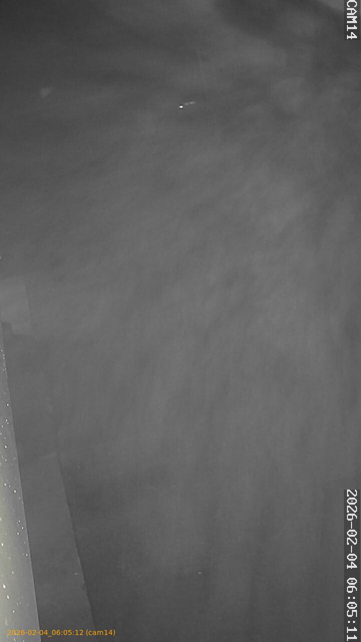 thumbnail_20260204060512