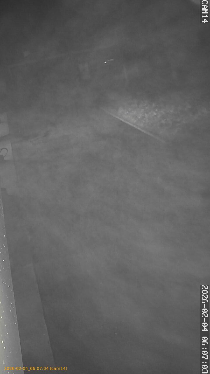 thumbnail_20260204060704