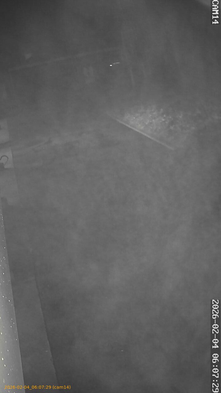 thumbnail_20260204060729