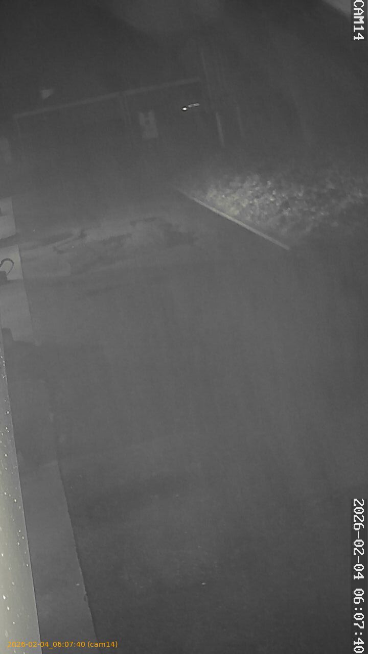 thumbnail_20260204060740