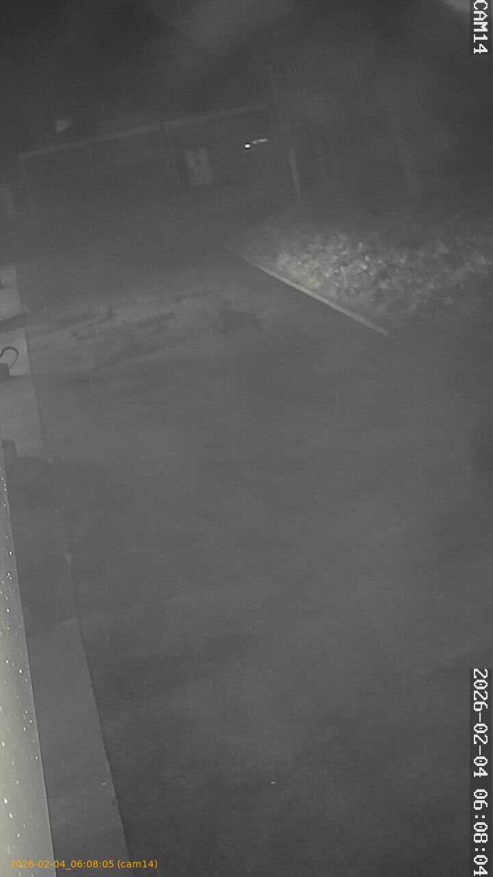 thumbnail_20260204060805