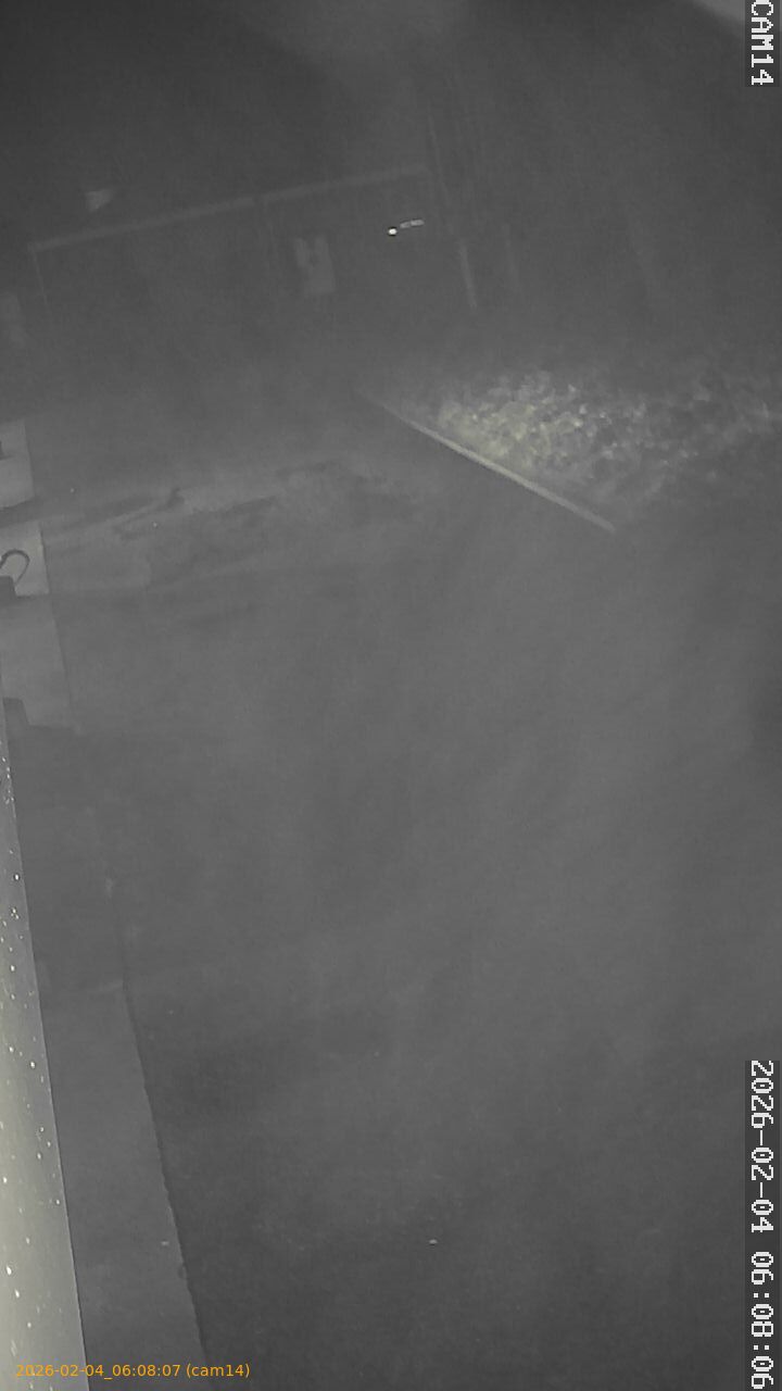 thumbnail_20260204060807