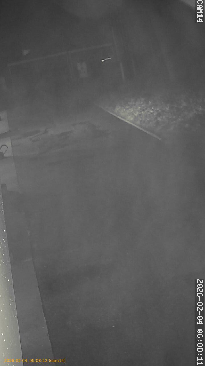 thumbnail_20260204060812