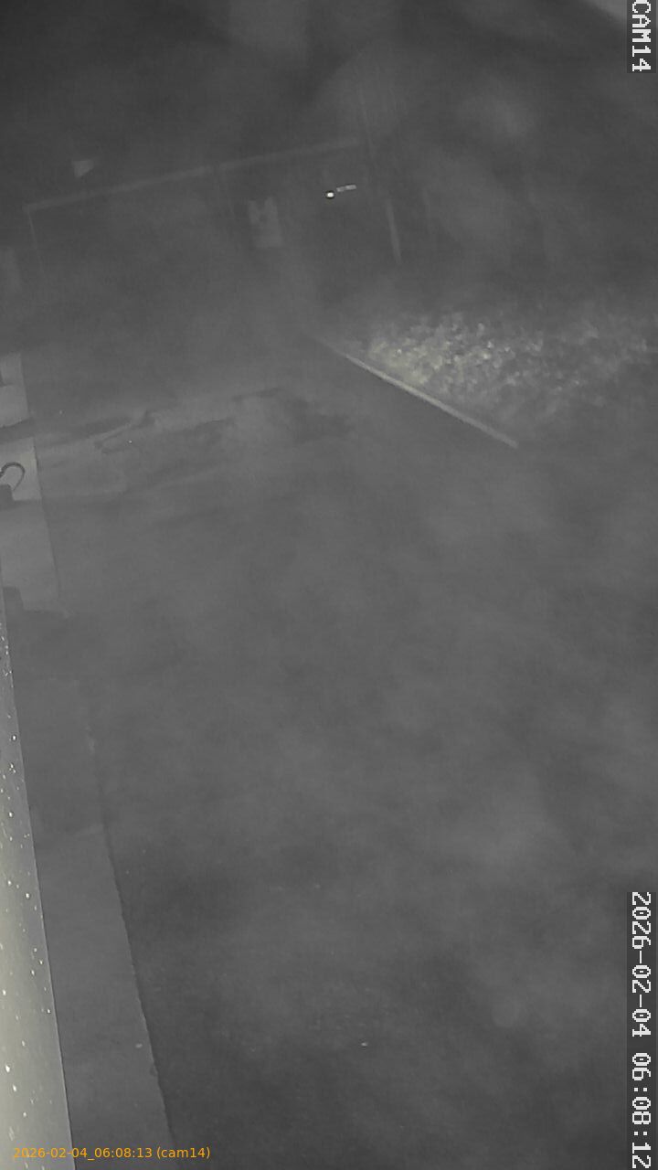 thumbnail_20260204060813