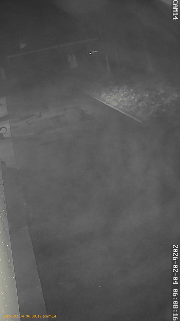 thumbnail_20260204060817