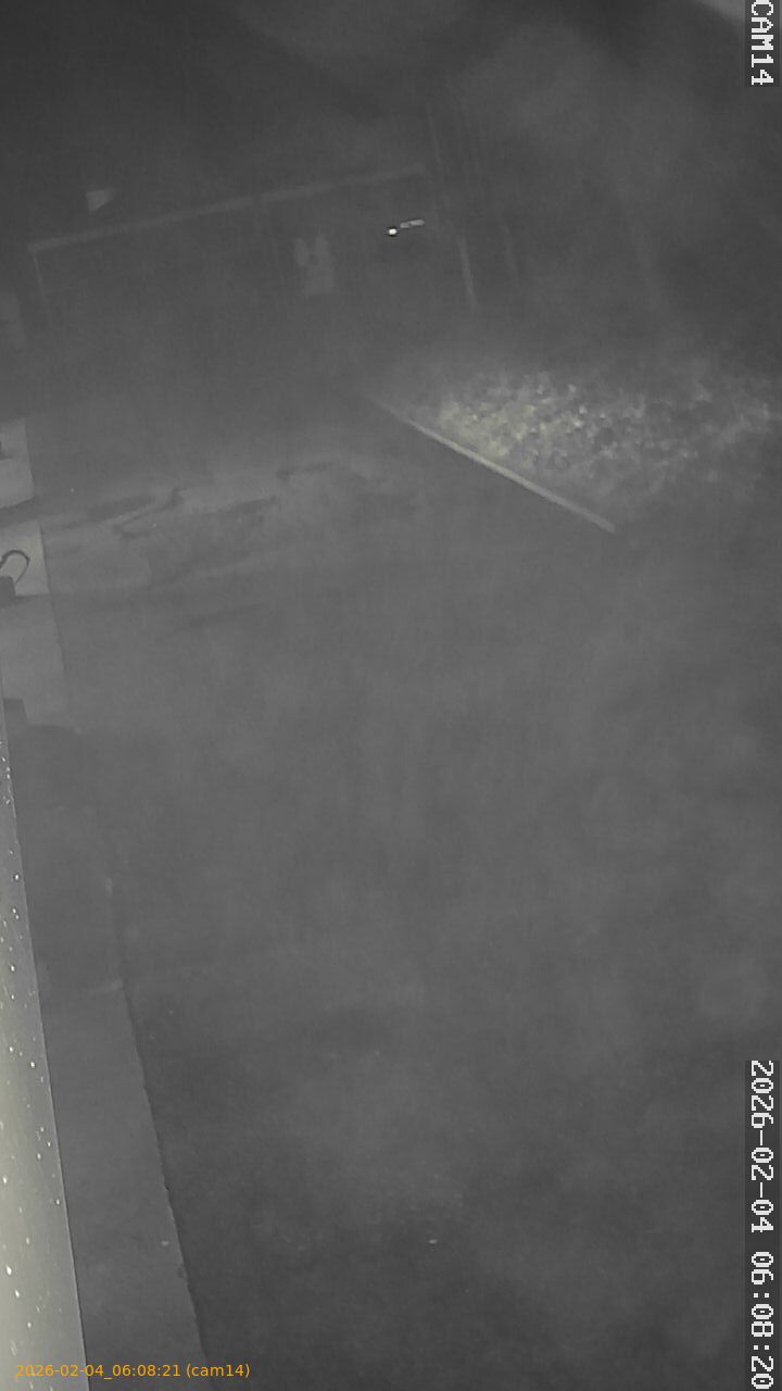 thumbnail_20260204060821