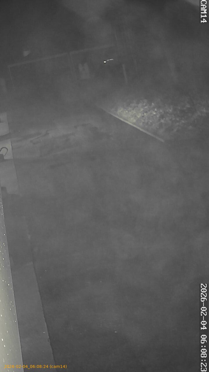 thumbnail_20260204060824