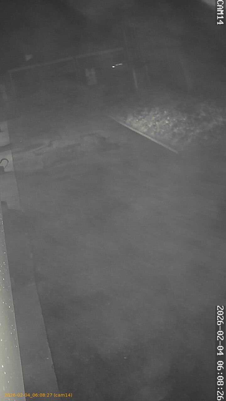 thumbnail_20260204060827