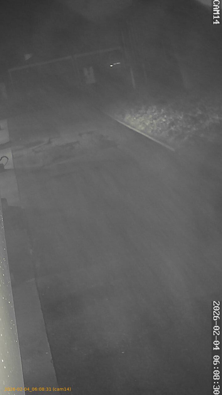 thumbnail_20260204060831