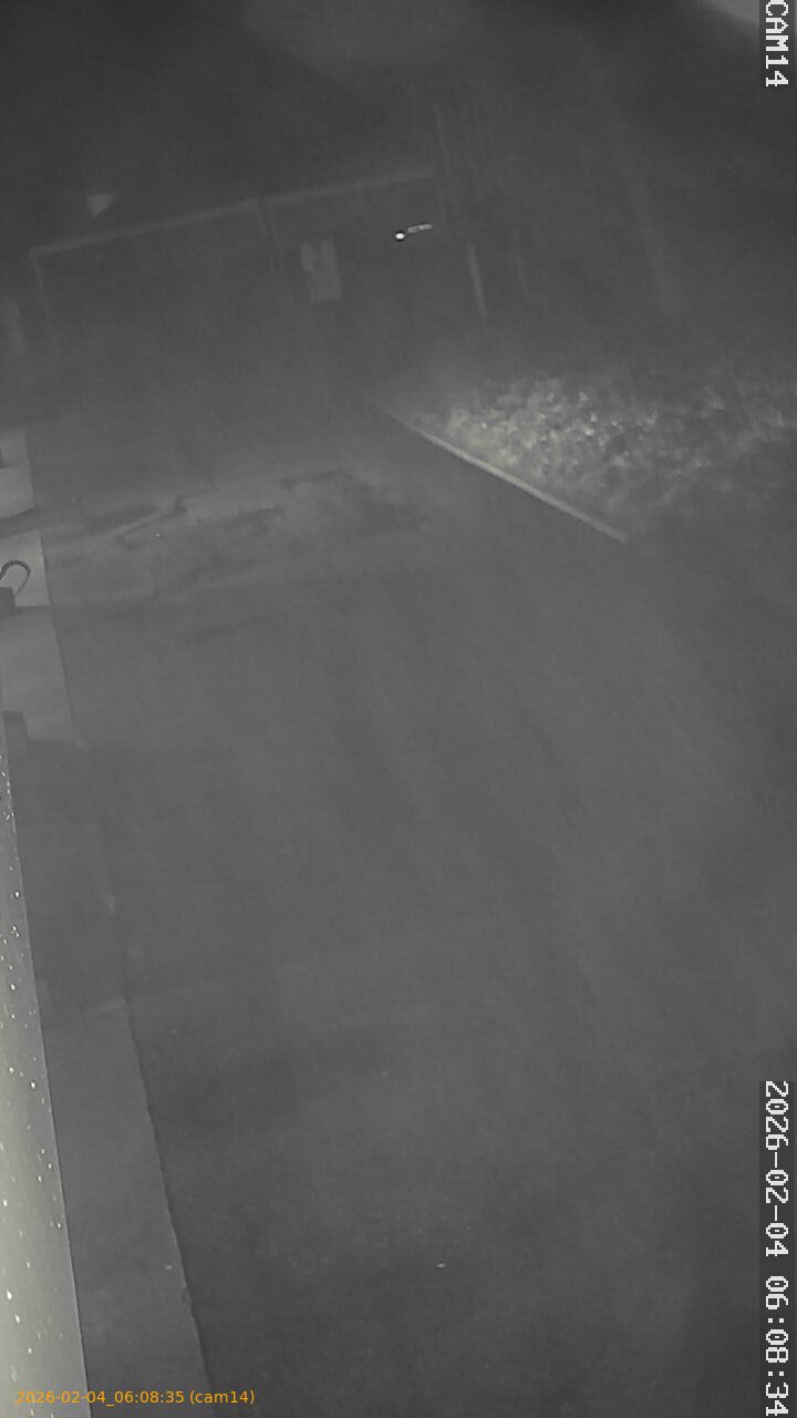 thumbnail_20260204060835