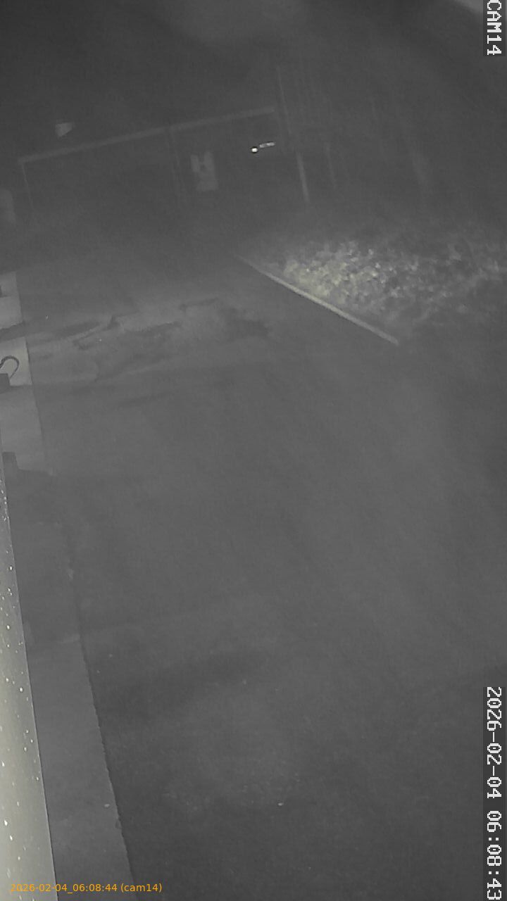 thumbnail_20260204060844