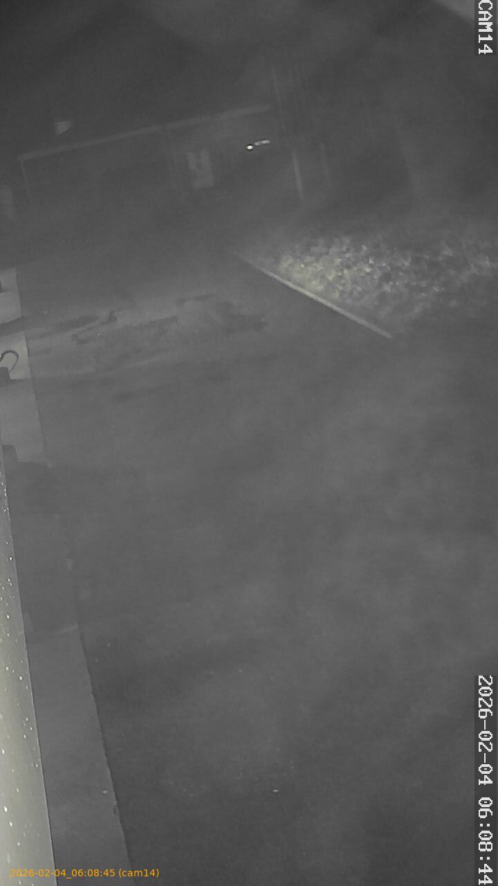 thumbnail_20260204060845