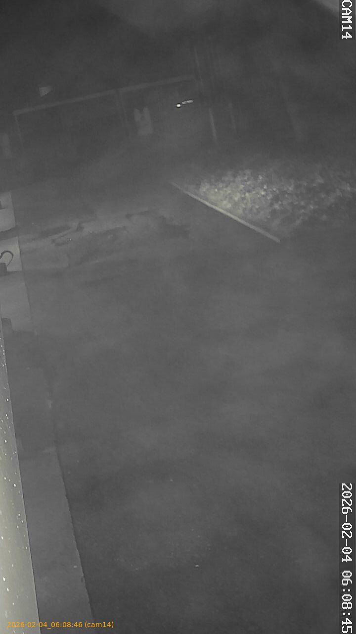 thumbnail_20260204060846